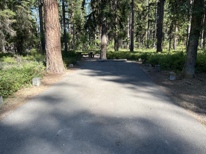 A photo of Site RPS09 at River Point Lolo Campground (MT) with Campsite Driveway shown. 