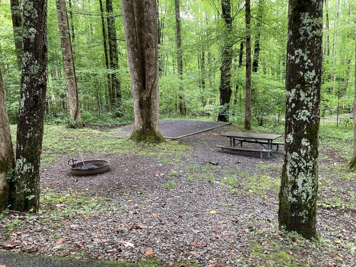 A photo of Site B01 of Loop B-Loop at COSBY CAMPGROUND with Picnic Table, Fire Pit, Tent PadB01