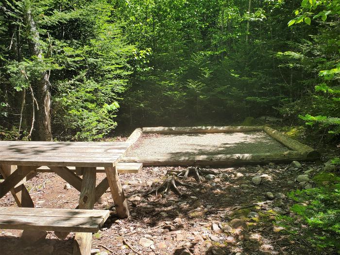 A photo of Site H03 of Loop Hike-In at Schoodic Woods Campground with Picnic Table, Shade, Tent PadA photo of Site H01 of Loop Hike-In at Schoodic Woods Campground with Picnic Table, Shade, Tent Pad