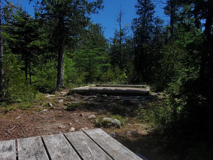 A photo of Site H04 of Loop Hike-In at Schoodic Woods Campground with Picnic Table, Shade, Tent Pad
