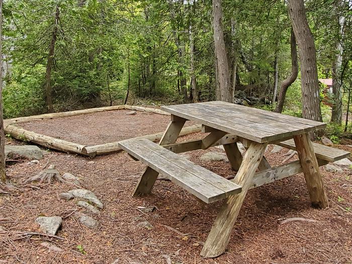 A photo of Site H05 of Loop Hike-In at Schoodic Woods Campground with Picnic Table, Shade, Tent Pad