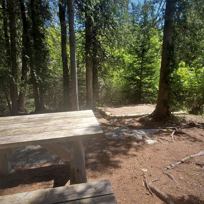A photo of Site H05 of Loop Hike-In at Schoodic Woods Campground with Picnic Table, Shade, Food Storage