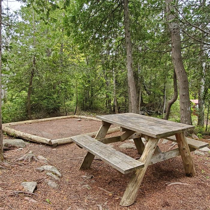 Site H05 of Loop Hike-In at Schoodic Woods Campground with Picnic Table, Shade, Food StorageA photo of Site H05 of Loop Hike-In at Schoodic Woods Campground with Picnic Table, Shade, Food Storage