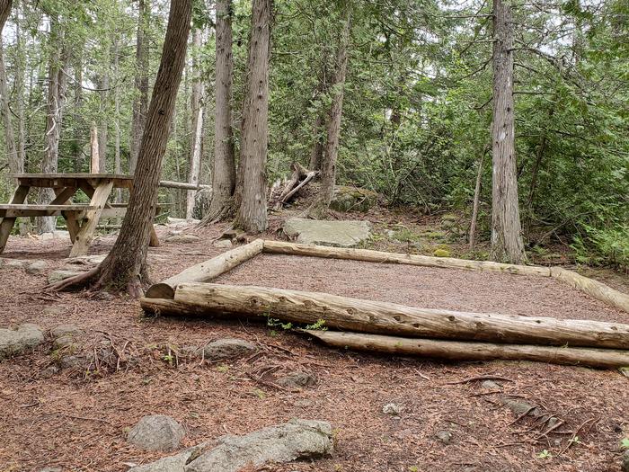 A photo of Site H08 of Loop Hike-In at Schoodic Woods Campground with Picnic Table, Shade, Food Storage