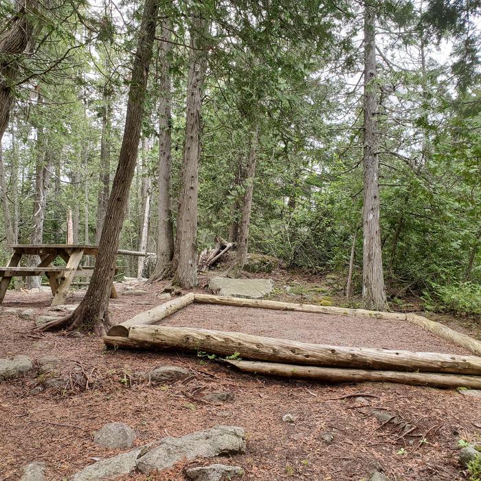 A photo of Site H08 of Loop Hike-In at Schoodic Woods Campground with Picnic Table, Shade, Tent Pad
