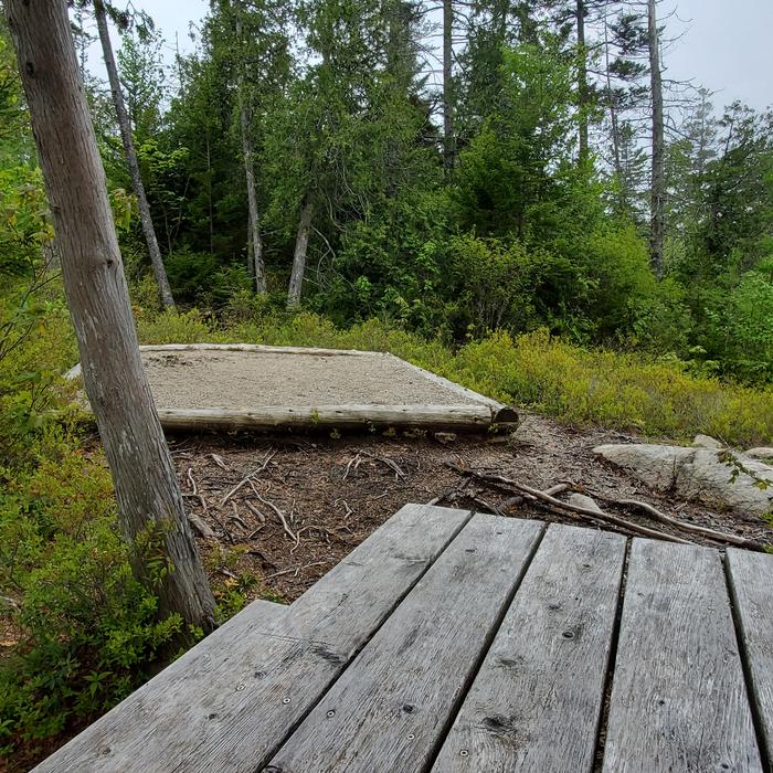 Site H09 of Loop Hike-In at Schoodic Woods Campground with Picnic Table, Shade, Food Storage