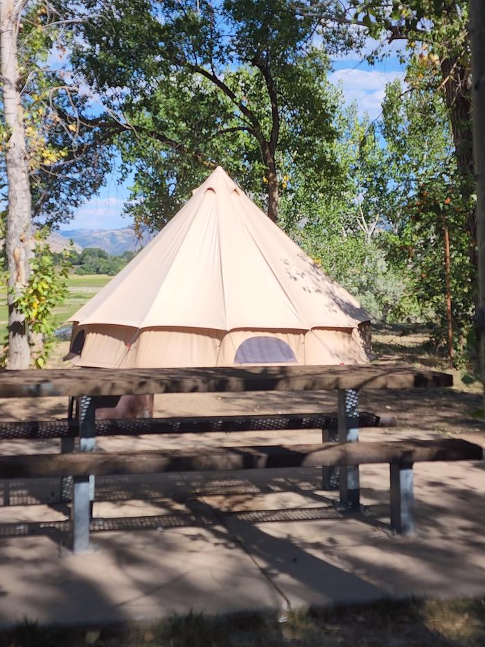 Glamping Tent 111