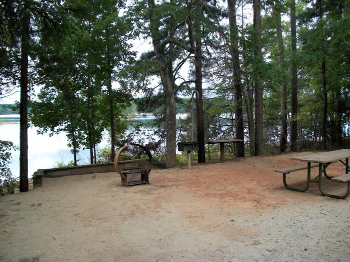 Site 73 Picnic table, grill and fire ring
