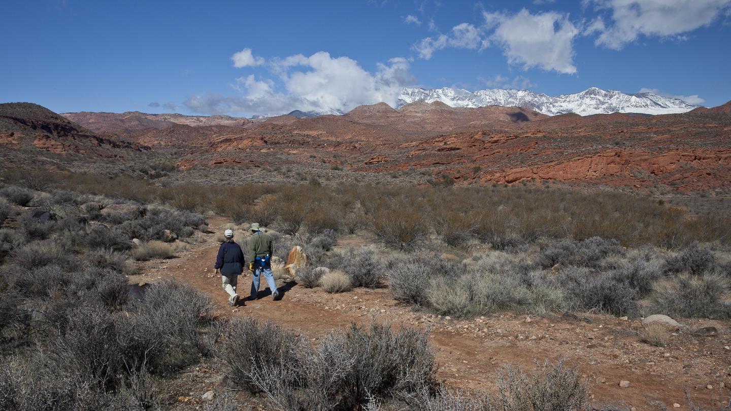 Preview photo of Red Cliffs National Conservation Area