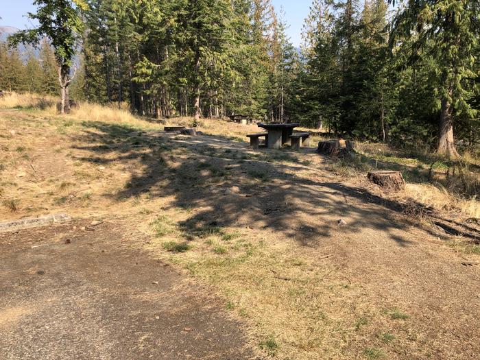 A photo of Site 069 of Loop LEAF at SAM OWEN with Picnic Table, Fire Pit, Tent Pad