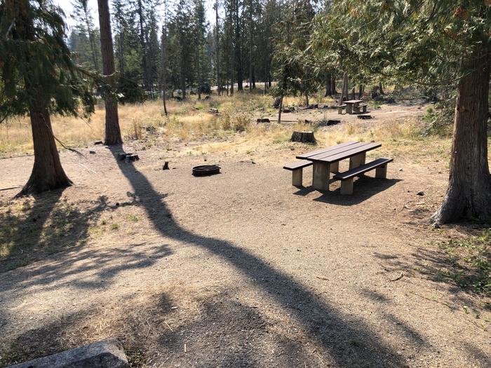 A photo of Site 060 of Loop LEAF at SAM OWEN with Picnic Table, Fire Pit