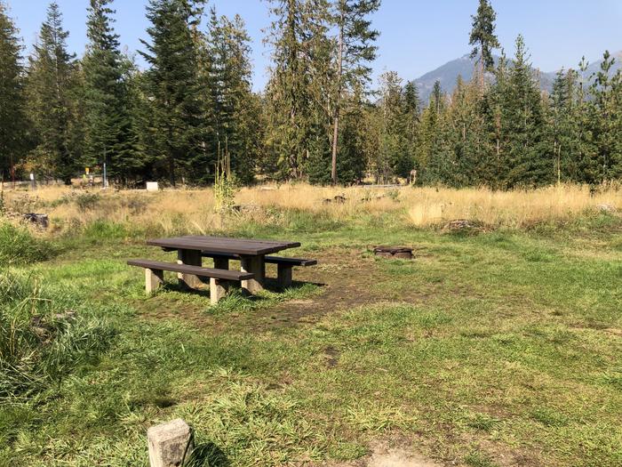 A photo of Site 004 of Loop REDS at SAM OWEN with Picnic Table, Fire Pit