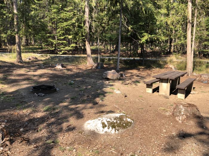 A photo of Site 010 of Loop REDS at SAM OWEN with Picnic Table, Fire Pit