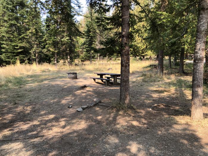 A photo of Site 028 of Loop STON at SAM OWEN with Picnic Table, Fire Pit, Shade