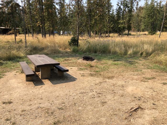 A photo of Site 025 of Loop REDS at SAM OWEN with Picnic Table, Fire Pit
