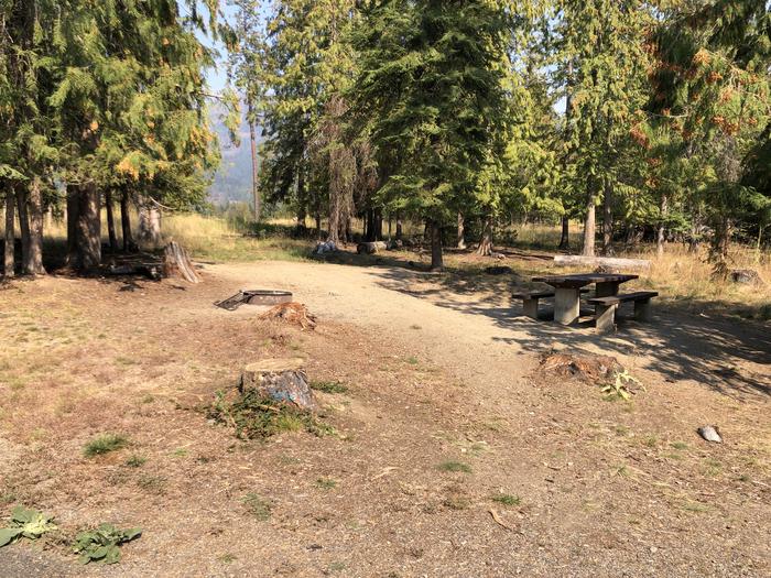 A photo of Site 063 of Loop LEAF at SAM OWEN with Picnic Table, Fire Pit