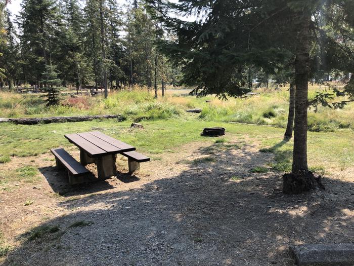 A photo of Site 006 of Loop REDS at SAM OWEN with Picnic Table, Fire Pit