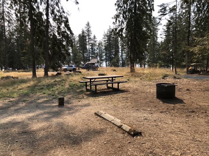 A photo of Site 011 of Loop REDS at SAM OWEN with Picnic Table, Fire Pit
