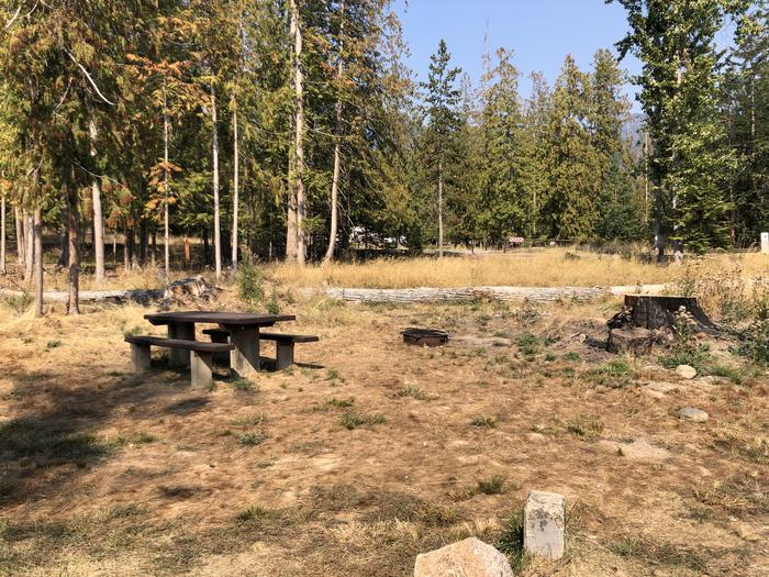 A photo of Site 007 of Loop REDS at SAM OWEN with Picnic Table, Fire Pit