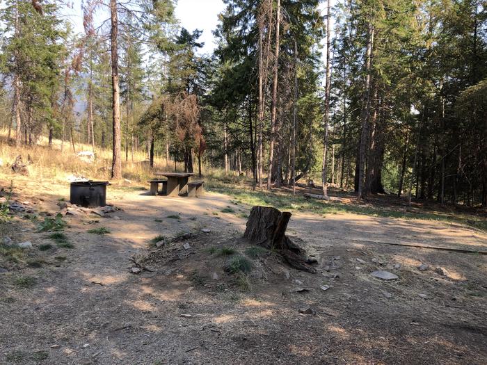 A photo of Site 072 of Loop LEAF at SAM OWEN with Picnic Table, Fire Pit, Tent Pad