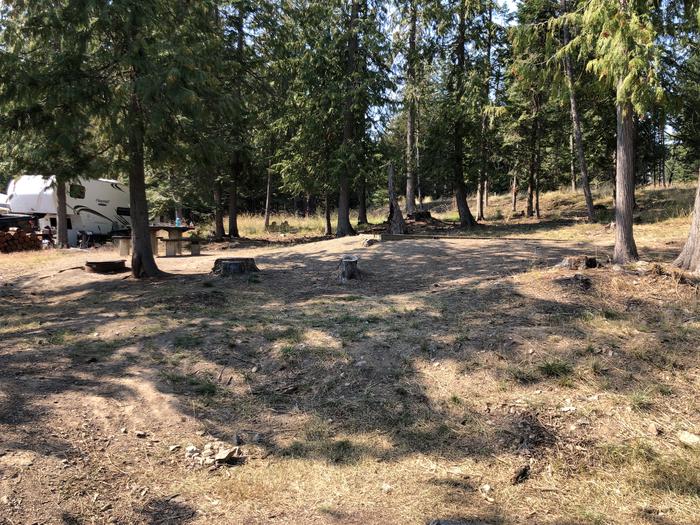 A photo of Site 059 of Loop LEAF at SAM OWEN with Picnic Table, Fire Pit, Tent Pad