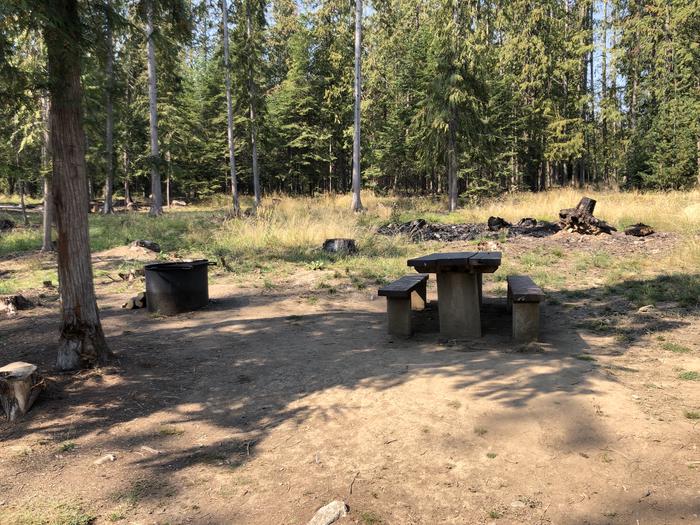 A photo of Site 009 of Loop REDS at SAM OWEN with Picnic Table, Fire Pit