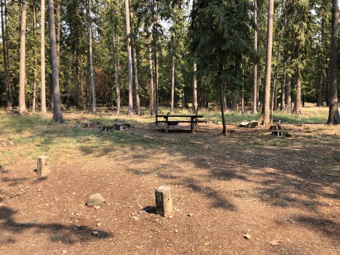 A photo of Site 042 of Loop STON at SAM OWEN with Picnic Table, Fire Pit