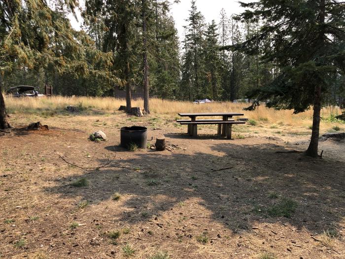A photo of Site 034 of Loop STON at SAM OWEN with Picnic Table, Fire Pit