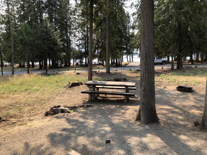 A photo of Site 017 of Loop REDS at SAM OWEN with Picnic Table, Fire Pit, Waterfront