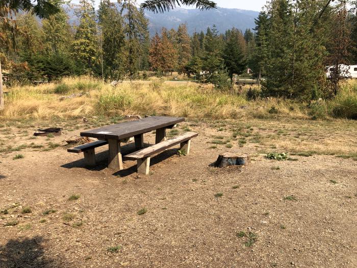 A photo of Site 016 of Loop REDS at SAM OWEN with Picnic Table, Fire Pit