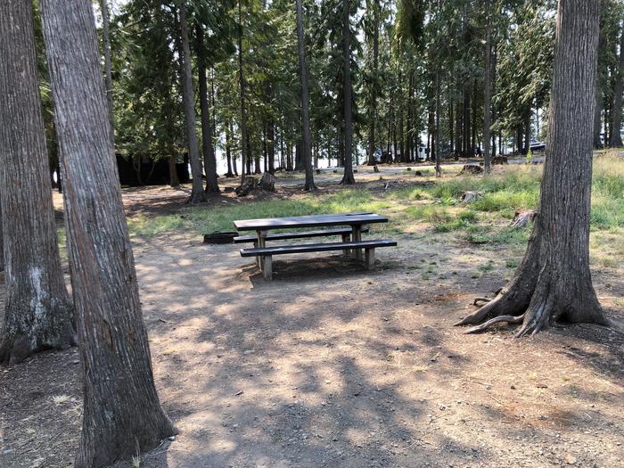 A photo of Site 015 of Loop REDS at SAM OWEN with Picnic Table, Fire Pit