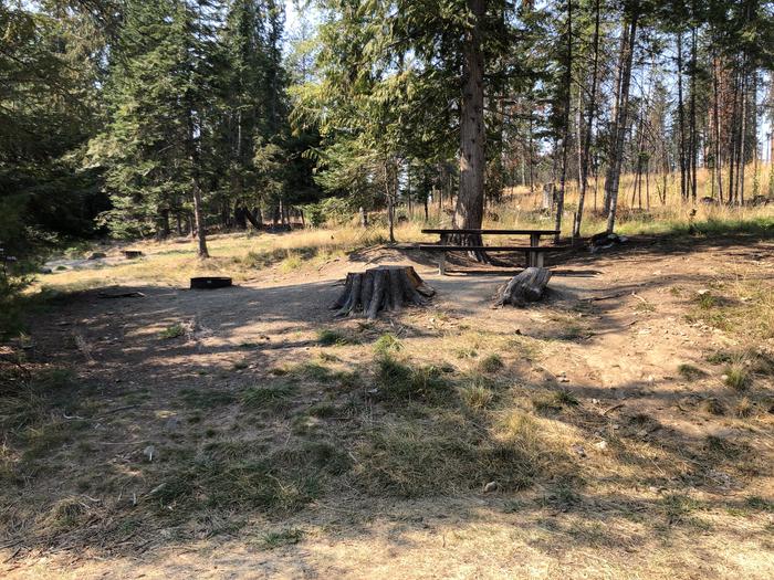 A photo of Site 068 of Loop LEAF at SAM OWEN with Picnic Table, Fire Pit