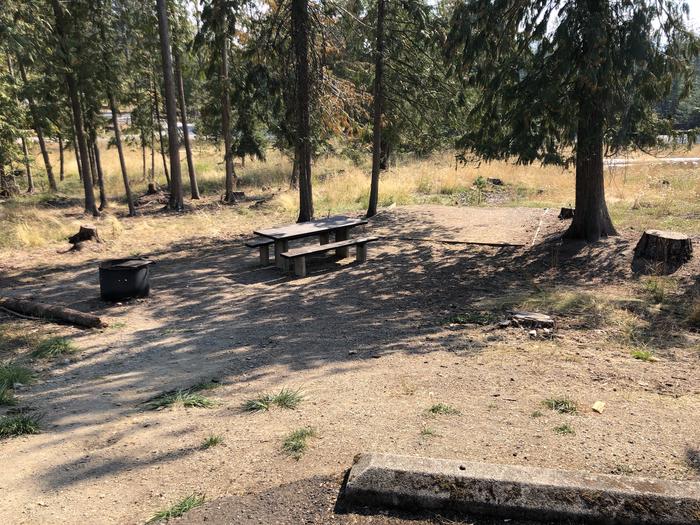 A photo of Site 062 of Loop LEAF at SAM OWEN with Picnic Table, Fire Pit, Tent Pad
