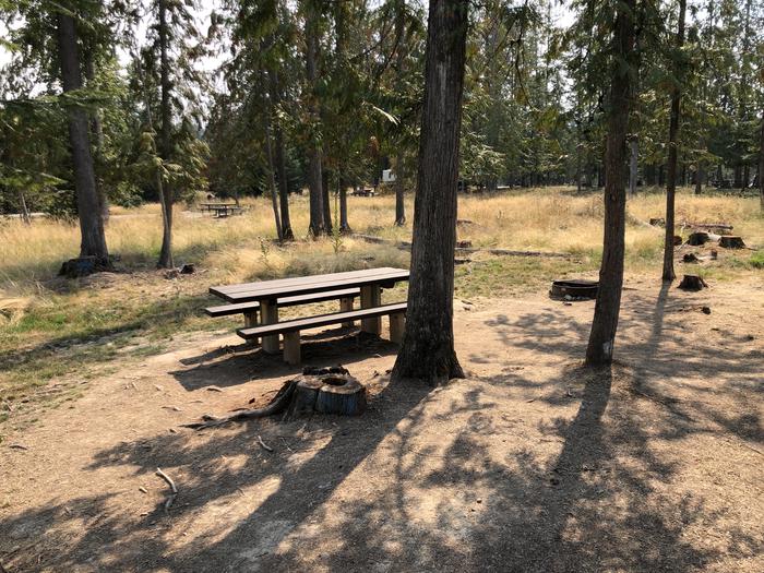 A photo of Site 001 of Loop REDS at SAM OWEN with Picnic Table, Fire Pit