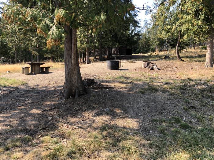 A photo of Site 061 of Loop LEAF at SAM OWEN with Picnic Table, Fire Pit, Tent Pad