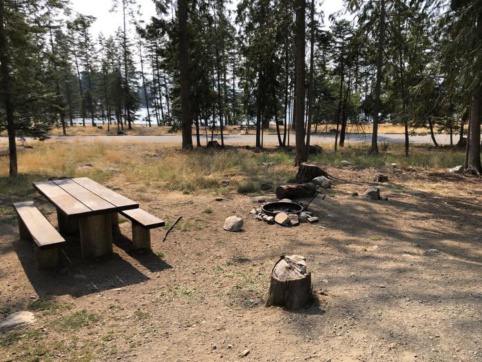 A photo of Site 020 of Loop REDS at SAM OWEN with Picnic Table, Fire Pit, Waterfront