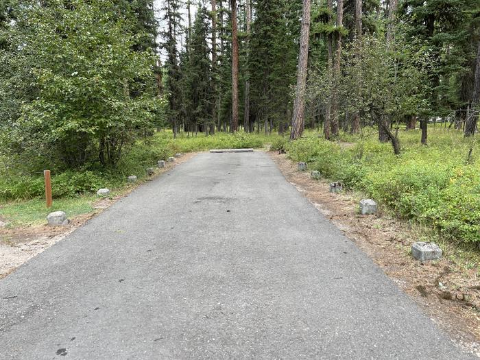 A photo of Site RPS15 at River Point Lolo Campground (MT) with Campsite Driveway shown. 