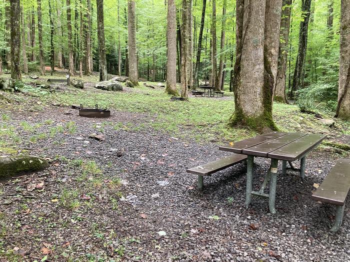 A photo of Site B01 of Loop B-Loop at COSBY CAMPGROUND with Picnic Table, Fire PitPicnic area