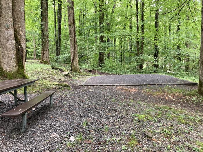 A photo of Site B01 of Loop B-Loop at COSBY CAMPGROUND with Picnic Table, Tent PadTent pad and picnic table