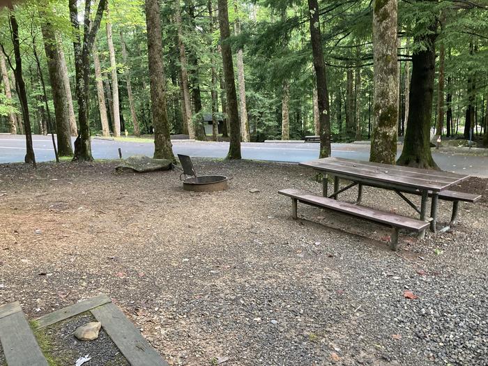 A photo of Site B18 of Loop B-Loop at COSBY CAMPGROUND picnic area Picnic area 