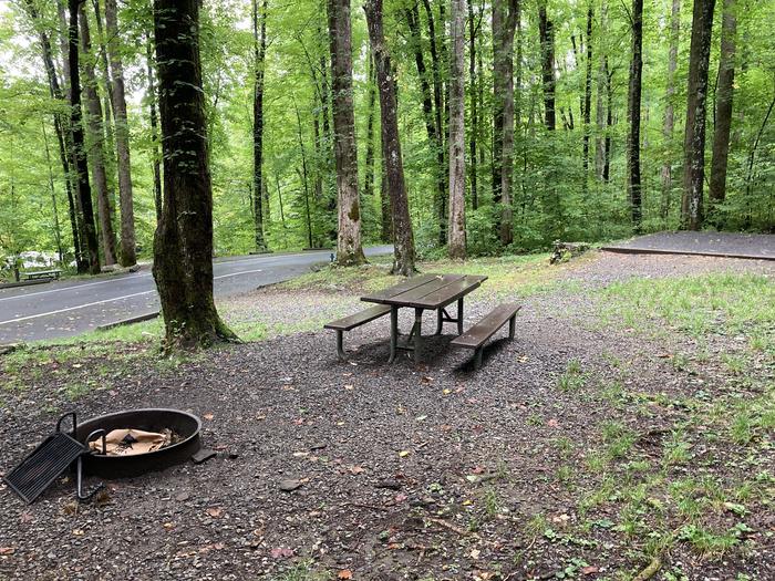 A photo of Site B02 of Loop B-Loop at COSBY CAMPGROUND with Picnic Table, Fire Pit, Tent PadSite B02