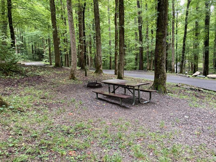 A photo of Site B02 of Loop B-Loop at COSBY CAMPGROUND with Picnic Table, Fire PitPicnic area