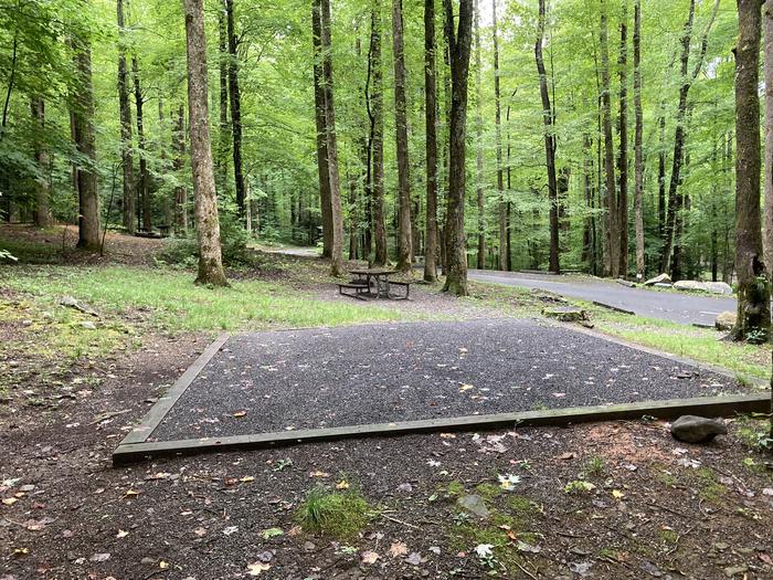 A photo of Site B02 of Loop B-Loop at COSBY CAMPGROUND with Tent Pad