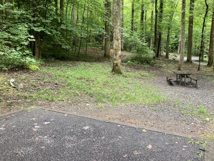 A photo of Site B02 of Loop B-Loop at COSBY CAMPGROUND with Picnic Table, Tent PadB02