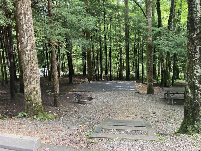 A photo of Site B17 of Loop B-Loop at COSBY CAMPGROUND with Picnic Table, Fire Pit, Tent Pad Stairs B17- Stairs from parking down to site