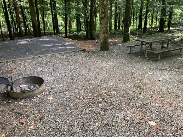 A photo of Site B17 of Loop B-Loop at COSBY CAMPGROUND with Picnic Table, Fire Pit