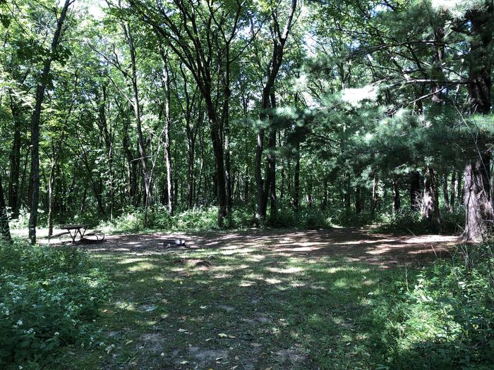 A photo of Site 005 of Loop  at SUGAR BOTTOM CAMPGROUND with Picnic Table, Fire Pit, Shade