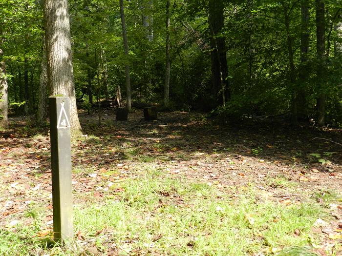 Area of cleared flat ground in a forest clearing next to a wooden post labeled 4Site 4 is located along a yellow blazed path that crosses a creek and goes up a hill to a breezy ridge quite a distance from the main trail.