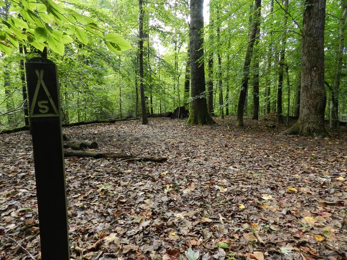 Area of cleared flat ground in the forest next to a wooden post labeled 5Site 5 is located along a yellow blazed path close to the main trail along a breezy ridge.