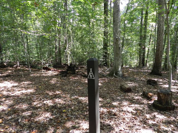 Area of cleared flat ground in the forest around a wooden post labeled 6Site 6 is located along a yellow blazed path on a sheltered ridge.  This site is the closest to the parking area.